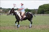 UKPA  NC Sat_1461